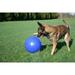 Jolly Pets Push-N-Play Dog Ball