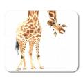 SIDONKU Realistic Giraffe Made in Watercolor Zoo Safari Paint Hand Mousepad Mouse Pad Mouse Mat 9x10 inch