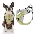 Gooby Memory Foam Step-In Harness - Green Medium - Scratch Resistant Harness with Comfortable Memory Foam for Small Dogs and Medium Dogs Indoor and Outdoor use
