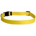Yellow Dog Design Yellow Simple Dog Collar 3/8 Wide and Fits Necks 8 to 12 Extra