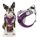 Gooby Memory Foam Step-In Harness - Purple Medium - Scratch Resistant Harness with Comfortable Memory Foam for Small Dogs and Medium Dogs Indoor and Outdoor use