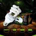 13W Reptile Heating Lamp UVB Energy-Saving Lamp Used For Reptiles Living In Tropical Forests And Subtropical Areas