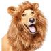 Pet Krewe Dog Lion Mane Halloween Costume Lion Mane for Large and Small Dogs â€“ Ideal for Halloween Dog Birthday Dog Cosplay Dog Outfits Pet Clothes
