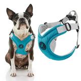 Gooby Memory Foam Step-In Harness - Turquoise Large - Scratch Resistant Harness with Comfortable Memory Foam for Small Dogs and Medium Dogs Indoor and Outdoor use