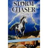 Storm Chaser