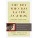 The Boy Who Was Raised As a Dog : And Other Stories from a Child Psychiatrist s Notebook -- What Traumatized Children Can Teach Us about Loss Love and Healing 9780465056538 Used / Pre-owned
