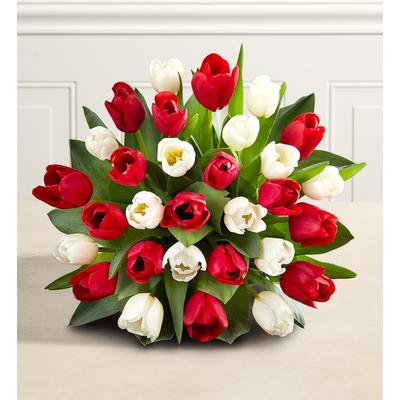 1-800-Flowers Seasonal Gift Delivery Holiday Tulips + Free Vase 30 Stems, Bouquet Only