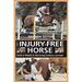 Pre-Owned The Injury-Free Horse : Hands-On Methods for Maintaining Soundness and Health 9781570761997