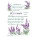 Fresh Scents Scented Sachet - Lavender-lot of 6