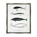 Stupell Industries Nautical Sea Life Whales Narwhal Marine Drawings Graphic Art Luster Gray Floating Framed Canvas Print Wall Art Design by Lettered and Lined