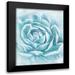 Murdock Ramona 15x18 Black Modern Framed Museum Art Print Titled - Aqua Succulent II