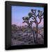 Fitzharris Tim 12x14 Black Modern Framed Museum Art Print Titled - Joshua Tree at Joshua Tree National Park