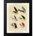 Marbury Mary Orvis 12x14 Black Modern Framed Museum Art Print Titled - Bass Fishing Flies IV from Favorite Flies and Their Histories