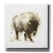 Epic Graffiti Rustic Bison I by Ethan Harper Canvas Wall Art 37 x37