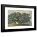 Friedrich SalathÃ© 18x14 Black Modern Framed Museum Art Print Titled - Italian Landscape with Trees (1815-21)