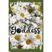 Daisy Flower Wall Art Fantasy basketball goddess cursive girly brackets bet sports Tin Wall Sign 8 x 12 Decor Funny Gift