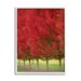 Stupell Industries Autumn Foliage Red Leaf Trees Nature Scene Photography White Framed Art Print Wall Art 11x14 by Nancy Crowell
