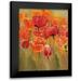 Hageman Marilyn 12x14 Black Modern Framed Museum Art Print Titled - Tulips in the Midst I