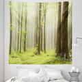 Spring Tapestry Misty Springtime Beech Forest Photo Taken in the Mountains of Central Europe Fabric Wall Hanging Decor for Bedroom Living Room Dorm 5 Sizes Brown Green by Ambesonne