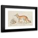 Charles Hamilton Smith 14x11 Black Modern Framed Museum Art Print Titled - The Syrian Fox and the Egyptian Fox (1837)
