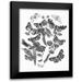 Wild Apple Portfolio 15x18 Black Modern Framed Museum Art Print Titled - Butterfly Bouquet IV Linen BW IV