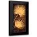 Parks David 12x24 Black Modern Framed Museum Art Print Titled - Fan Palm Triptych III