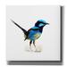 Epic Graffiti Bird Collection 21 by Ata Alishahi Giclee Canvas Wall Art 37 x37