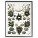 The Stupell Home Decor Collection Eggs and Nests Vintage Illustration Framed Giclee Wall Art