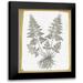 Lula Bijoux and Company 19x24 Black Modern Framed Museum Art Print Titled - Farmhouse Ferns 1