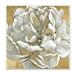 Stupell Industries Blushing White Magnolia Flower Abstract Floral over Gold 12 x 12 Design by Carol Robinson