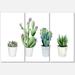 Designart Aloe Vera Cactus Succulent Home Plants In The Pots Farmhouse Canvas Wall Art Print