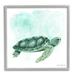 Stupell Industries Speckled Green Sea Turtle Marine Life Painting Graphic Art Gray Framed Art Print Wall Art Design by Diane Neukirch