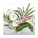 Jean Plout Beautiful Orchids B Canvas Art