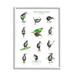 Stupell Industries Athletic Kiwi Various Exercises Bird Drawings Chart Graphic Art White Framed Art Print Wall Art Design by Amelie Legault