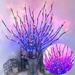 Sinhoon 20 Led Nordic Style Simulation Tree Branches String Lights DIY Lighted Artificial Twigs Bendable Shapable Fairy Lights for Holiday Indoor Vase Daily Decorations (Multicolor)