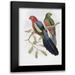 Glover John 15x18 Black Modern Framed Museum Art Print Titled - Yellow-Winged King Parrot