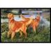 Golden Retrievers Indoor or Outdoor Mat 18 x 27