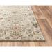 Alora Decor Infinity 8 x 10 Classical Green/Beige/Ivory/Brown Hybrid Area Rug