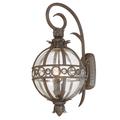 Troy Lighting Campanile Outdoor Wall Light - B5003-FRN