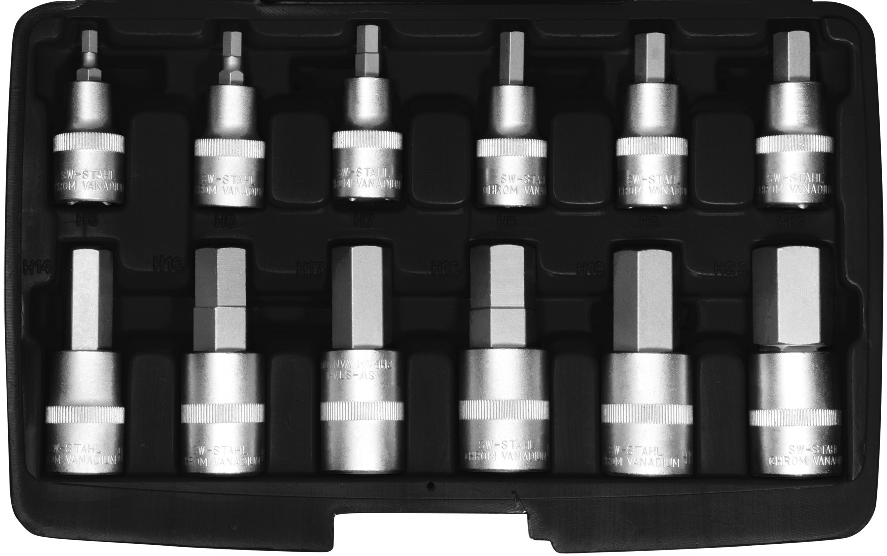 SWSTAHL Schraubendreheinsätze, 1/2', Innensechskant, 5-22 mm,12-teilig Steckschlüsselsatz 04950L Image