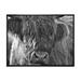 Close Up Scottish Highland Cows Living On Moorland 20 in x 12 in Framed Photography Canvas Art Print by Designart