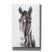 Epic Graffiti Le Cheval Noir by Alan Majchrowicz Giclee Canvas Wall Art 40 x60