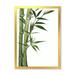 Designart Detail of Dark Green Bamboo and Leaves I Traditional Framed Art Print