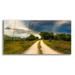 Epic Art Texas Winding Road by Grace Fine Arts Photography Acrylic Glass Wall Art 24 x12