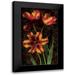 Seba John 16x24 Black Modern Framed Museum Art Print Titled - Decorative Tulips I