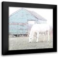 Robinson Carol 15x15 Black Modern Framed Museum Art Print Titled - High Key Horse