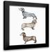 Atelier B Art Studio 15x15 Black Modern Framed Museum Art Print Titled - Three Daschund Dogs