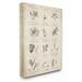 The Stupell Home Decor Collection Conversations On Botany Wall Art