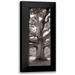 Blaustein Alan 9x18 Black Modern Framed Museum Art Print Titled - Hampton Field Tree - 2