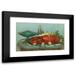 Robert Wilkie 18x12 Black Modern Framed Museum Art Print Titled - Lobster Eggs Celery (1877)